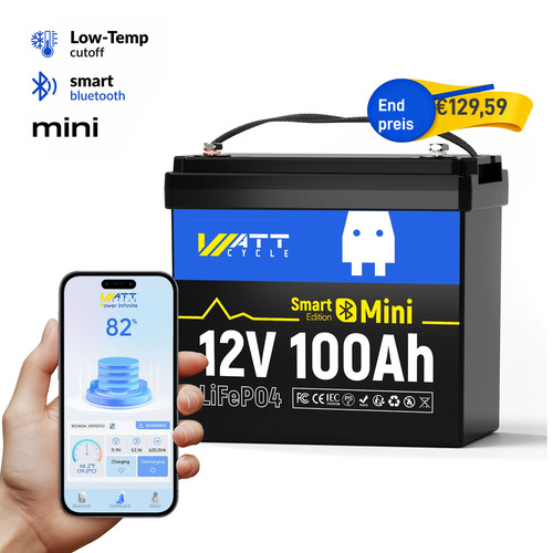 12v 100ah mini lifepo4 - 12v,